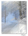 Via innevata
