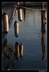 ....riflessi