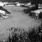 Neve al parco