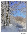 Via innevata al ritorno