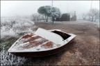 Antica Bellezza...