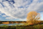 palude