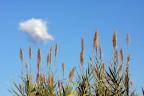 Ma che bella giornata di sole!!!