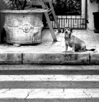 solitudine