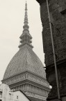 il mio primo bianco e nero.. mi sembrava una cosa semplice ma le scelte e le tonalit sono tantissime......
Sono andato in base alla mia idea.