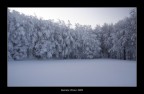neve..neve..neve..