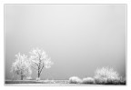 Freddo e nebbia