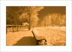white park...