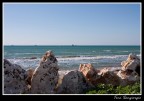 stessa spiaggia stesso mare (un mese dopo....)