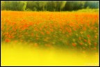 Mareggiata Primaverile