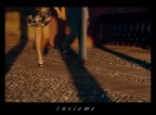 INsieME