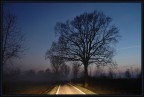 guidando nella nebbia..all'ora blu