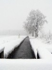 Inverno Padano
