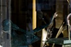 VE 09-01-2009_02