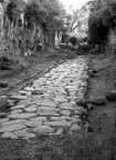 via amerina 3 secolo av.c
