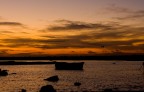 la barca e...l'airone