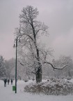 aria di neve