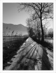 Interminabile