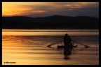 Fotografia realizzata al Lago di Varese
Obiettivo: Canon EF 100-400mm f/4.5-5.6L IS 
 Alberto Zavattiero
