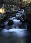 movimento lento... II