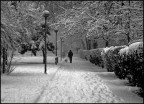 desolazione