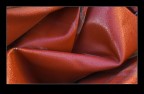 Colore-Linee-Forme