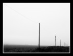 ...LINEE...