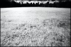 Central Park - NYC