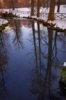 Riflessi (versione a colori)