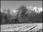 Impressioni di Novembre