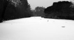 Prima nevicata bolognese del 2009. Localit Giardini Margherita.