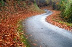 curve sinuose.....fianchi di donna