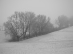 Diago-Winter 2008