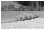 Riva di tures
