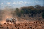 Lost Africa