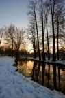 Sole d'inverno