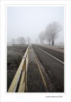 Tornando a casa......
