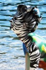 Animal Soul