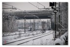 La curva del pendolino...