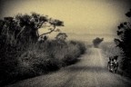 Elaborazione sulla strada di Beila - Guinea Forestale - 2008