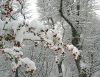 colori invernali