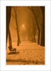 winter...