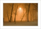 scatto del 16/01/2008 in un parco di milano sommerso dalla neve ed abbracciato da una fitta nebbia...