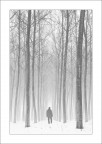 l'unico sentiero