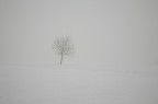 La solitudine nella natura...