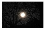 luna piena