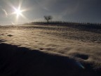 un paio di giorni dopo la nevicata qui al nord di un paio di settimane fa,molti scatti ma questo  quello che pi mi colpisce