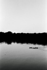 ilford hp5
50mm f1,7
f 5.6
1/500 sec