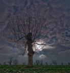 Tempestoso..