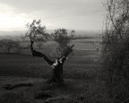 paesaggio